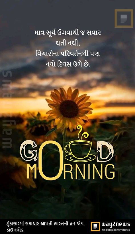 Suvichar In Gujarati, Happy Birthday Frame, Good Morning Flowers Pictures, Happy Morning, Gujarati Quotes, Birthday Frames, Good Morning Flowers, Flower Pictures, Good Morning Images