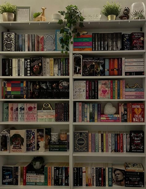 #books #bookshelf #bookshelves #bookshelvesinsop #booktok #aesthetic #bookaesthetic #bookshelfaesthetic #reader #reading #read #bookworm #booksaesthetic #booklover Dream Bookshelf, Booktok Room, Book Shelf Inspo Aesthetic, Cute Bookcase Ideas, Bookshelf Inspiration Aesthetic, Room With Bookshelves Aesthetic, Billy Bookcase Organization, Bookshelf Inspo Bookcase Styling, Room Bookshelf Aesthetic