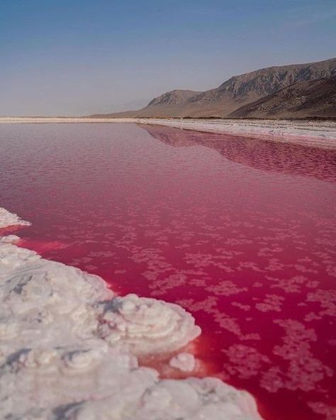 Red Tide, Shiraz Iran, Aesthetic Era, Red Lake, Rainbow Magic, Shiraz, Video Photography, Pastel Aesthetic, Fantasy Landscape