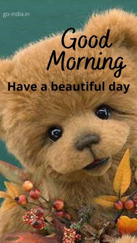 Good Morning Teddy Bear, Cute Morning Quotes, Cute Good Morning Gif, Teddy Bear Quotes, Good Morning Animals, Good Morning Cartoon, Happy Day Quotes, Teddy Bear Images, Good Morning Funny Pictures