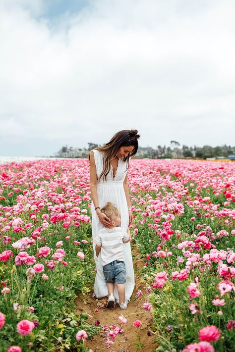 Flower fields with my little babe Spring Maternity Photos, Mother Son Photos, Hello Fashion Blog, Son Photo Ideas, Spring Family Pictures, Carlsbad Flower Fields, Christine Andrew, Mommy And Me Photo Shoot, Toddler Photoshoot