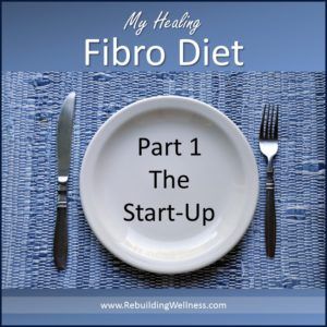 Fibro Diet, Pancreatic Diet Recipes, Paleo Plan, Chronic Fatigue Symptoms, Natural Healing Remedies, Gluten Sensitivity, Proper Diet, Chronic Fatigue, Fitness Nutrition