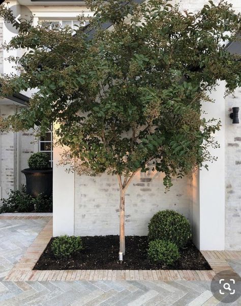 Driveway Garden Ideas Entrance, White Brick Driveway, White Brick Porch, Terracotta Driveway, Paved Driveway Ideas, Herringbone Driveway, Driveway Gardens, Patio With Border, Paver Driveway Ideas