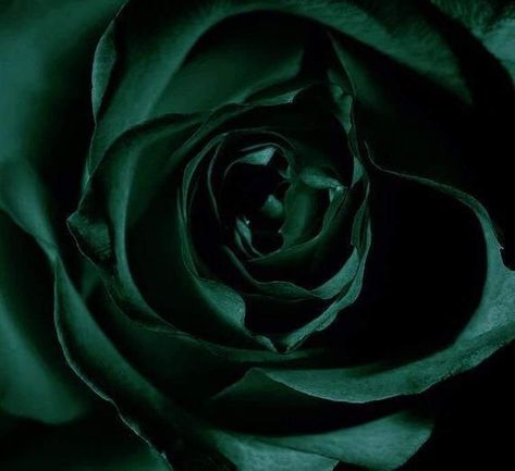 Signs As Greek Gods, Demeter Goddess, Royalty Aesthetic, Dark Green Aesthetic, Royal Green, Slytherin Aesthetic, Royal Colors, M R, Sky Art