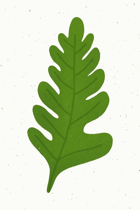 Green oak leaf design element vector | free image by rawpixel.com / Aum Botanical Decoration, Leaves Doodle, Free Illustration Images, Leaf Illustration, Plant Vector, Illustration Blume, Leaf Template, Leaf Drawing, Botanical Decor