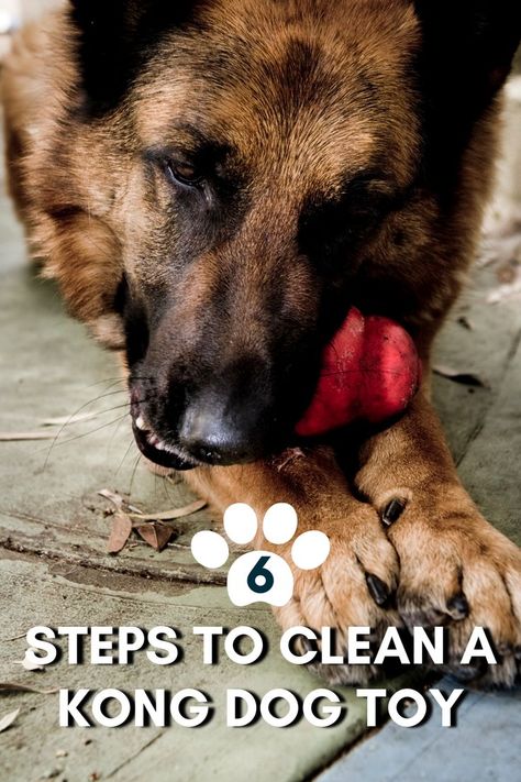 How To Clean a Kong Toy Kong Dog Toys, Dog Toys Indestructable, Easy Pets, Best Dog Toys, Dog Personality, Dog Ages, Dog Facts, Interactive Dog Toys, Dog Care Tips