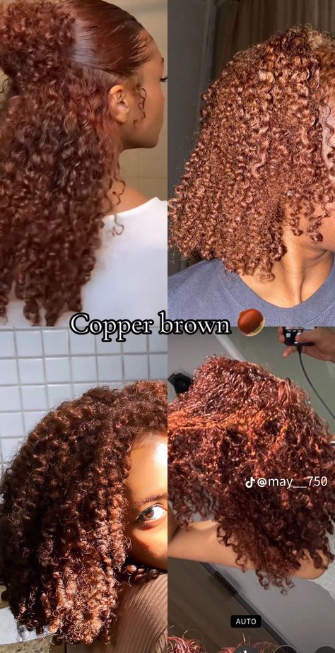 Full Head Color Ideas, Dark Skin Woman With Colored Hair, Lightskin Girls With Curly Dyed Hair, Black Women Hair Dye Colors, Type 4 Hair Dye Ideas, Honey Brown And Honey Blonde Hair, Honey Brown On Natural Hair, Hair Color Mixed Women, Haircolor Ideas For Neutral Skin