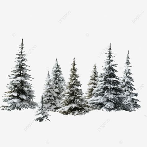 forest little christmas trees in snow after winter snowfall snow forest pine forest snow landscape Pine Trees In Snow, Christmas Tree Photoshoot, Trees In Snow, Snow Pics, Christmas Tree Forest, Snow Landscape, Christmas Tree With Snow, Pine Trees Forest, Snow Forest