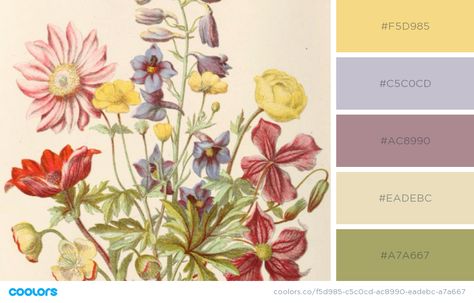 Wildflower colors purple, periwinkle, green, yellow, red, cream Wildflower Living Room, Lavender Green Yellow Palette, Wildflower Color Pallet, Wildflower Color Palette, Wildflower Kitchen, Wedding Color Schemes Purple, Lavender Kitchen, Lavender Color Palette, Purple And Green Wedding