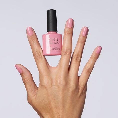 Will you be wearing our new shade, Pacific Rose, this fall? Available in CND Shellac and CND Vinylux. #CNDAutumnAddict Cnd Shellac Pacific Rose, Cnd Shellac Colors 2023, Pink Cnd Shellac, Pink Shellac Nails, Shellac French Manicure, Pink Nail Polish Colors, Pink Shellac, Cnd Shellac Colors, Shellac Nails Fall