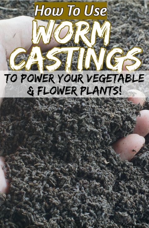 Worm Castings How To Use, Vermiculture Worm Farm Diy, Earthworm Farming, Worm Juice, Fertilizer For Flowers, Earthworm Farm, Vermicomposting Worm Farm, Worm Farms, Worm Farm Diy