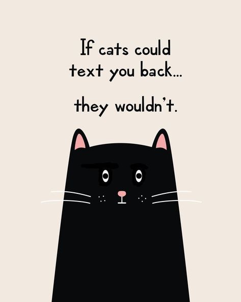 Katt Diy, Funny Printables, Cat Quotes Funny, Black Cat Art, A Black Cat, Cat Posters, Cat Quotes, Crazy Cat, Black Cats