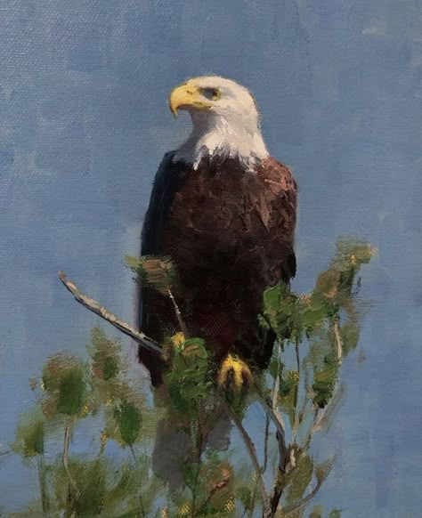 Eagle Painting, Oil Painting Inspiration, Gouache Art, Chicken Art, Watercolor Landscape Paintings, A Level Art, Impressionist Paintings, Birds Painting, Watercolor Landscape