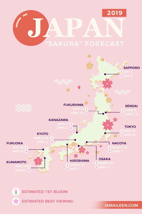 Japan Bucket List, Bahasa Jepun, Japan Cherry Blossom, Materi Bahasa Jepang, Japan Map, Cherry Blossom Japan, Japanese Language Lessons, Japan Sakura, Japan Destinations