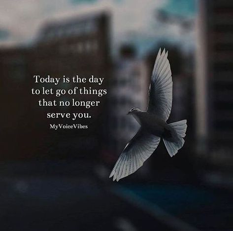 Today is the day to let go of things that no longer serve you life quotes quotes quote inspirational quotes let go moving on quotes life quotes and sayings Hmm Quotes, Butterfly Process, Let Go Of Things, On The Wings Of Love, Best Positive Quotes, Today Is The Day, Life Words, Quotes About Moving On, Quotable Quotes