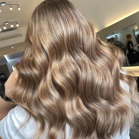 How to Create Beige Blonde Hair Color | Wella Professionals Level 8 Hair Color, Level 8 Hair, Level 8 Blonde, Neutral Blonde Hair, Beige Hair Color, Beige Blonde Hair Color, Cool Blonde Hair Colour, Hair Levels, Beige Blonde Hair