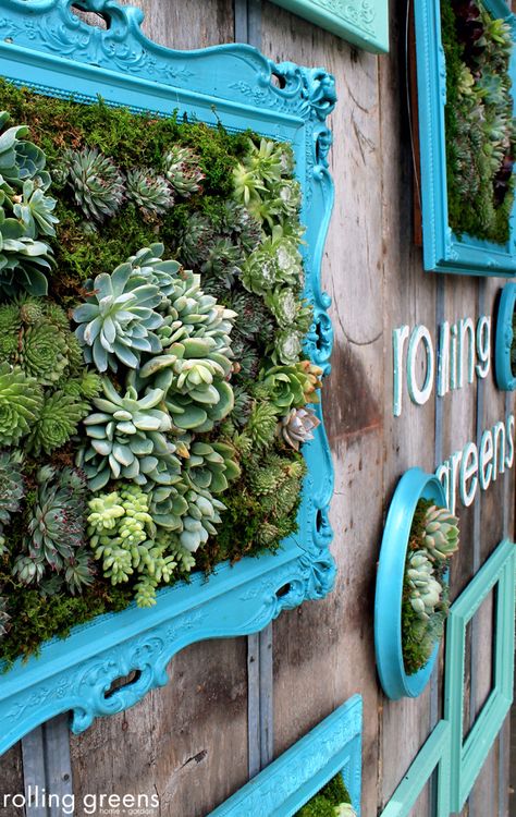 How To Beautify Your House – Outdoor Wall Décor Ideas Succulent Wall Art, California Garden, Hanging Succulents, Walled Garden, Succulent Wall, Succulent Gardening, Have Inspiration, Succulent Garden, Succulents Diy