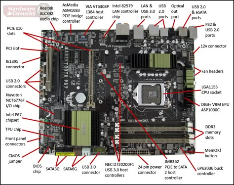 Motherboard Parts Name, Motherboard Diagram, Simple Electronic Circuits, Best Library, Computer Science Programming, Computer Maintenance, Learn Computer Science, Computer Learning, Micro Computer