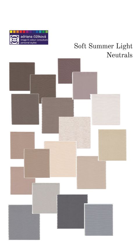 Soft Summer Light, Summer Skin Tone, Cool Summer Palette, Soft Summer Palette, Soft Summer Color Palette, Soft Summer Colors, Summer Neutrals, Seashell Painting, Touch Of Gray