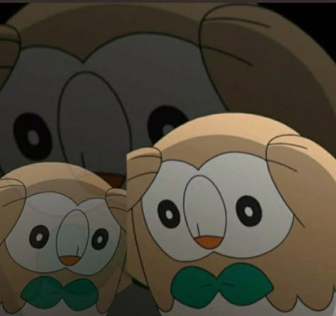 Rowlet Meme, Pokemon Stickers, Cute Pokemon Wallpaper, Pokemon Memes, Pokemon Funny, Pokemon Pictures, Pocket Monsters, Pokemon Fan, Cute Pokemon