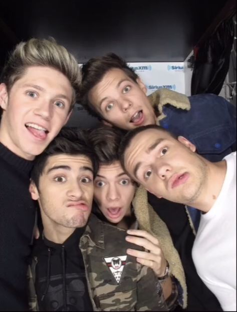 Zayn Malik, Liam Payne, Niall Horan, Louis Tomlinson, One Direction, Harry Styles, Love You