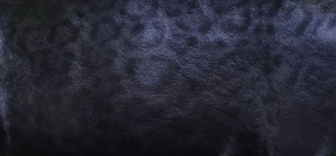 Black panther skin texture background | Premium Photo #Freepik #photo #background #pattern #abstract #snow Black Panther Background, Black Panther Pattern, Necklace Wallpaper, Black Panther Necklace, Panther Necklace, Wallpaper Unique, Black Jaguar, Product Ideas, Texture Background