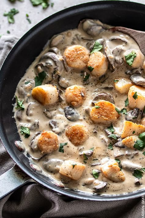 Scallops with Mushroom Sauce | URBAN BAKES Mushroom And Scallops, Winter Scallop Recipe, Scallops With Mushrooms, Scallop Mushroom Pasta, Gnocchi And Scallops Recipes, Small Bay Scallop Recipes, Keto Scallop Recipes, Scallops In Cream Sauce, Fish And Mushroom Recipe