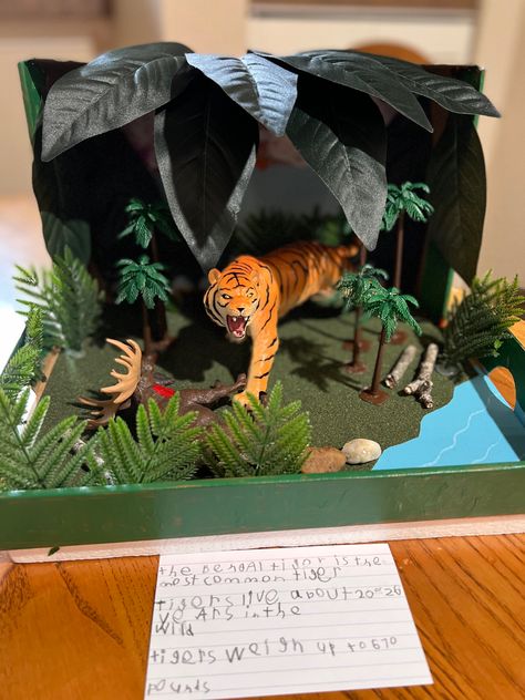 3d Zoo Project, Tiger Habitat Project, Animal School Project Ideas, Cheetah Habitat Diorama, Animal Diorama Habitats, Tiger Diorama Habitat, Jaguar Diorama, Cheetah Diorama, Lion Diorama