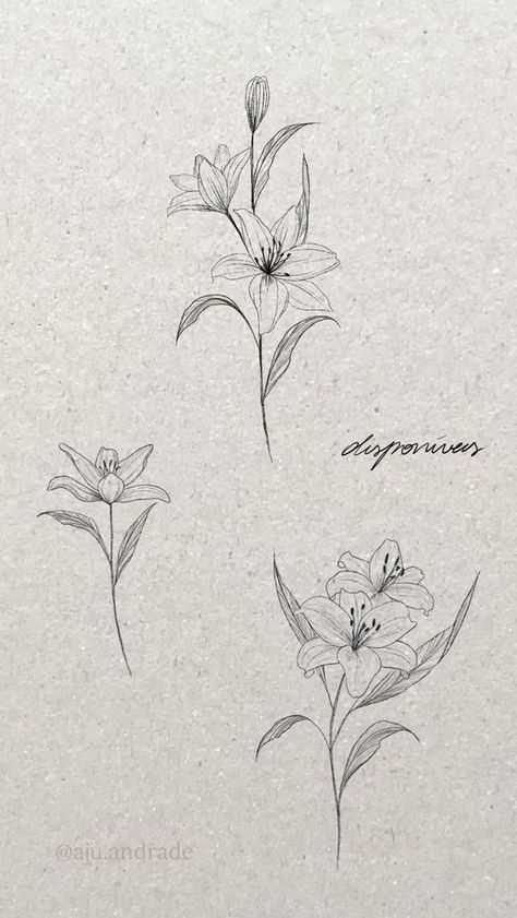 Lilies Flowers Tattoo Designs, Lillies Flowers Tattoo Design, Tattoo Of A Lily Flower, Wild Lily Tattoo, Flower Lilly Tattoo, Fineline Lilly Tattoo, Tattoo Lilies Flower, Lilies Spine Tattoo, Lily Flower Fine Line Tattoo