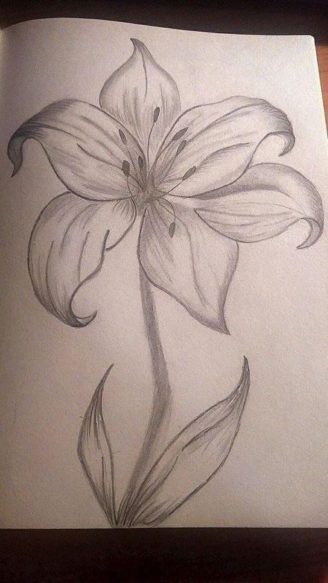 Flower Drawing Beginner, Aesthetic Flower Sketch, Pencil Drawings Of Flowers, Flower Art Drawing, Cool Pencil Drawings, Art Drawings Sketches Pencil, Flower Sketches, Easy Drawings Sketches, Doodle Art Designs