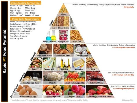 Rapid PT Program: Rapid PT Food Pyramid: The 7 Deadly Foods (Foods to Avoid) Keto Pyramid, Vegan Food Pyramid, Low Carbohydrate Recipes, Nutrition Guidelines, Carbohydrates Food, Food Pyramid, Food Patterns, Low Carb Breakfast, Foods To Avoid