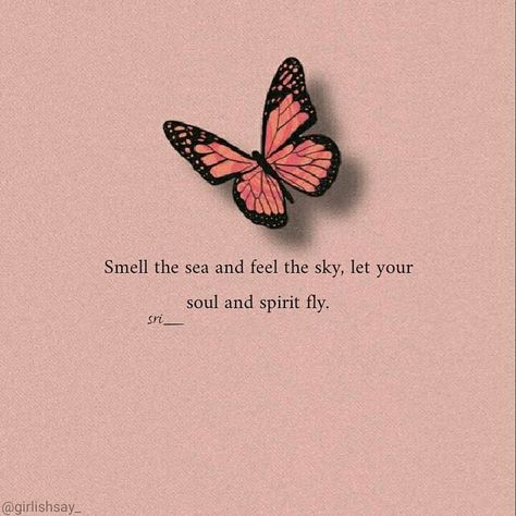 Tiny Quotes, Magical Quotes, Imagination Quotes, Soul Love Quotes, Classy Quotes, Soothing Quotes, Cute Quotes For Life, Dear Self Quotes, Cute Images With Quotes