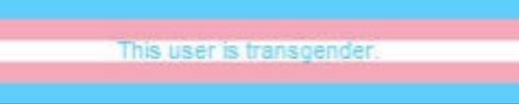 Trans Discord Banner, Trans Twitter Header, Spacehey Blinkies, This User Template, User Boxes, Trans Flag, Chaotic Neutral, Cute Banners, Cute Frames