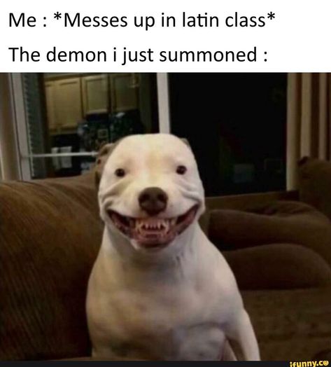 Me : *Messes up in latin class* The demon ijust summoned : – popular memes on the site iFunny.co #scifimythical #artcreative #me #latin #the #demon #ijust #summoned #pic 10 Funniest, Memes Humor, Really Funny Memes, Super Funny, Funny Laugh, Best Memes, Popular Memes, Funny Cute, Funny Texts