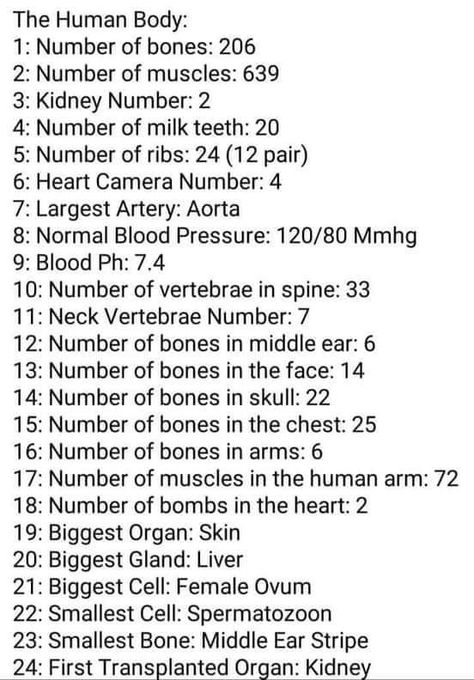 Number Of Bones In Human, How Many Bones In Human, Bones Chart, Biology Quotes, Branches Of Biology, Everyday Science, Learn Biology, Body Facts, Human Body Facts