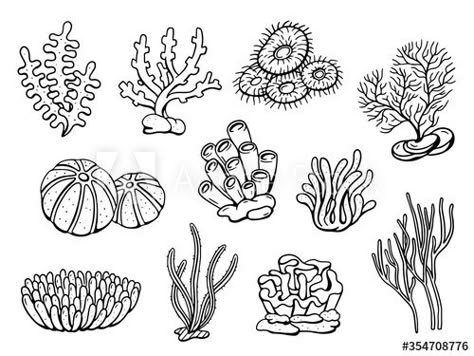 Sea Plants Drawing, Coral Reef Drawing Easy, Pool Mural, Coral Reef Drawing, Cartoon Underwater, Coral Drawing, Sea Creatures Drawing, Dolphin Drawing, Underwater Cartoon