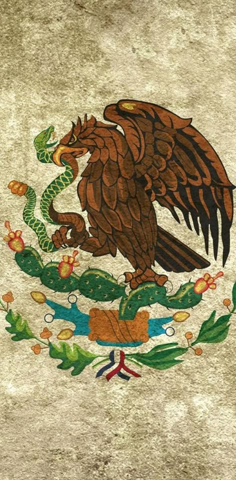 Mexican Flag Wallpaper, Mexican Flag Drawing, Mexico Culture Art, Mexican Flag Eagle, Wallpaper Mexico, Mexican Things, Mexico Wallpaper, Aztec Artwork, Mexican Eagle