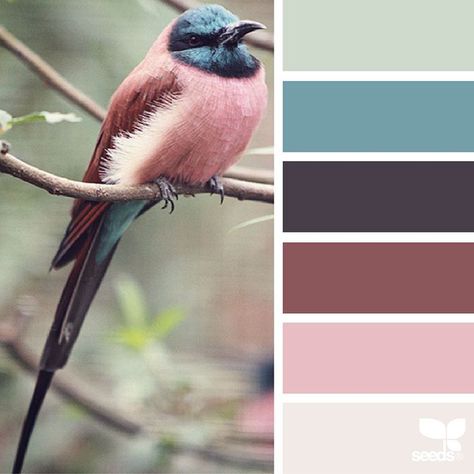 Nature-Inspired Color Palettes AKA Design Seeds For Designers, Crafters And Home Decorators | Bored Panda Design Seeds Color Palette, Seeds Color Palette, Nature Is, Artist Home, Seeds Color, Palette Design, Color Schemes Colour Palettes, Nature Color Palette, Inspired By