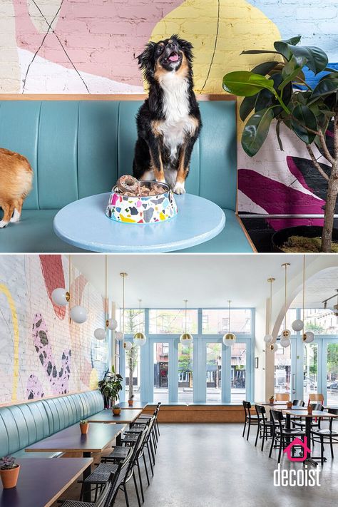 New York City’s Colorful, Pet-friendly Café where Feels Fresh and Charming Pet Friendly Cafe Interior, Dog Cafe Interior Design, Pet Friendly Coffee Shop, Dog Friendly Cafe Ideas, Pet Friendly Cafe Ideas, Pet Cafe Interior, Pet Coffee Shop, Dog Cafe Design, Dog Cafe Aesthetic