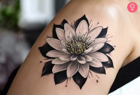 8 Amazing Water Lily Tattoo Ideas In Unique Styles Water Lily Tattoos For Women, Water Lily Tattoo Sleeve, Water Flower Tattoo, Black Dragonfly Tattoo, Water Lilies Tattoo, Water Lily Flower Tattoo, Lilypad Tattoo, Water Lily Tattoo Design, Waterlilly Tattoo