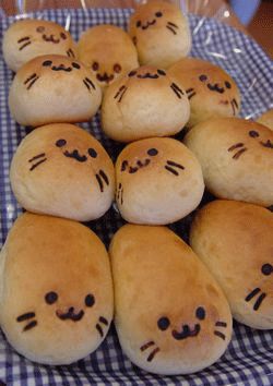 Photo Lol Gif, Chabby Chic, Cute Bento, Bread Art, Baby Seal, Cute Snacks, Silly Animals, Pretty And Cute, Cute Food