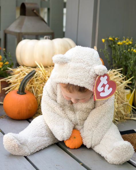 Beanie Baby Costume DIY- Super Easy! - Gina Michele Baby Beanie Baby Costume, Diy Beanie Baby Costume, Ty Bear Costume, Easy Infant Halloween Costumes, Halloween Baby Costumes Girl, Infant Boy Halloween Costume, 1 Month Old Halloween Costume, Diy Baby Halloween Costumes Girl, Homemade Baby Halloween Costumes