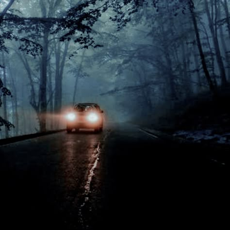 Tv Series Aesthetic, Wednesday Tv Series, Woods Dark, Dark Road, Jason Voorhees, Dark Forest, Forest, Road, Tumblr