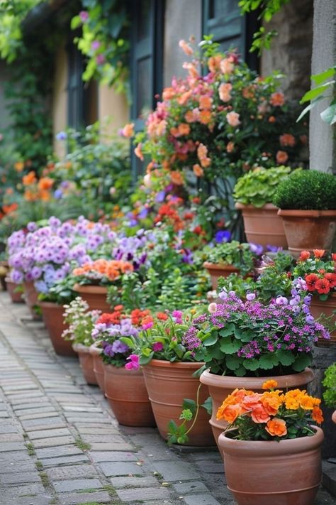 Potted Garden, Home Garden Design, Creative Gardening, Home Landscaping, Backyard Garden Design, Flower Bed, Balcony Garden, English Garden, Full Potential