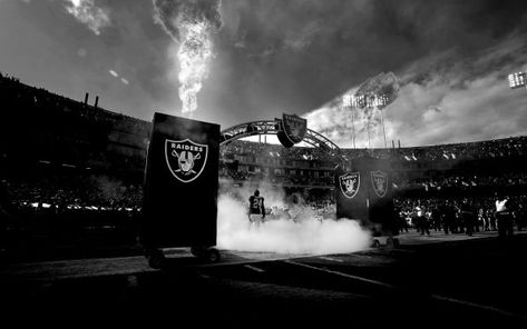 Raiders Pictures. Raider Wallpaper, Oakland Raiders Wallpapers, Raiders Wallpaper, Charles Woodson, Raiders Baby, Nfl Oakland Raiders, Smile Images, Actress Wallpaper, Raider Nation