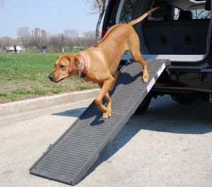 Read our latest review of the best dog stairs for cars and trucks. With one of these specially designed sets of steps or ramps your dog will be able to cruise with you, wherever you may want to go. Dog Ramp For Car, Ramp Stairs, Portable Ramps, Pet Ramp, Pet Stairs, Dog Ramp, Pet Steps, Dog Steps, Dog Essentials