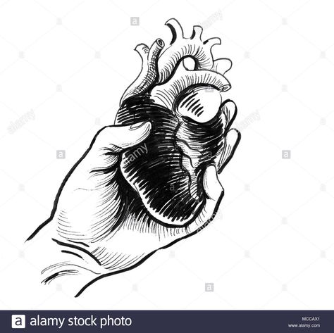 Holding Heart Reference, Human Trafficking Art, Heart Reference, A Heart Drawing, Hand Holding A Heart, Hands Holding Heart, Ma Tattoo, Holding Heart, Holding A Heart