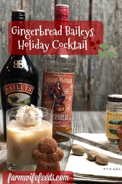 Gingerbread Baileys Holiday Cocktail from Farmwife Feeds is a festive seasonal cocktail made with Captain Morgans Gingerbread Rum! #cocktail #gingerbread #rum #baileys Spiced Rum Recipes, Christmas Cocktail Recipes, Baileys Drinks, Baileys Cocktails, Christmas Cocktails Easy, Xmas Recipes, Baileys Recipes, Simple Desserts, Rum Recipes