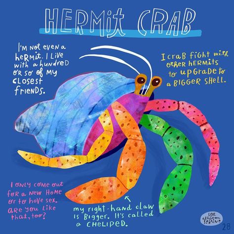 Crab Illustration, Fauna Illustration, Digital Illustration Tutorial, Crab Art, Fish Quilt, Hermit Crabs, Animal Illustration Art, Kids Art Class, Sketchbook Art Journal