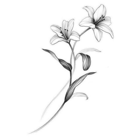 Lily Floral Tattoo Design, Daylilies Tattoo, Line Flower Tattoo Design, Lily Drawing Tattoo, Giglio Tattoo, Fine Line Lily, Lily Flower Tattoo Designs, Lilly Drawing, Lily Flower Drawing